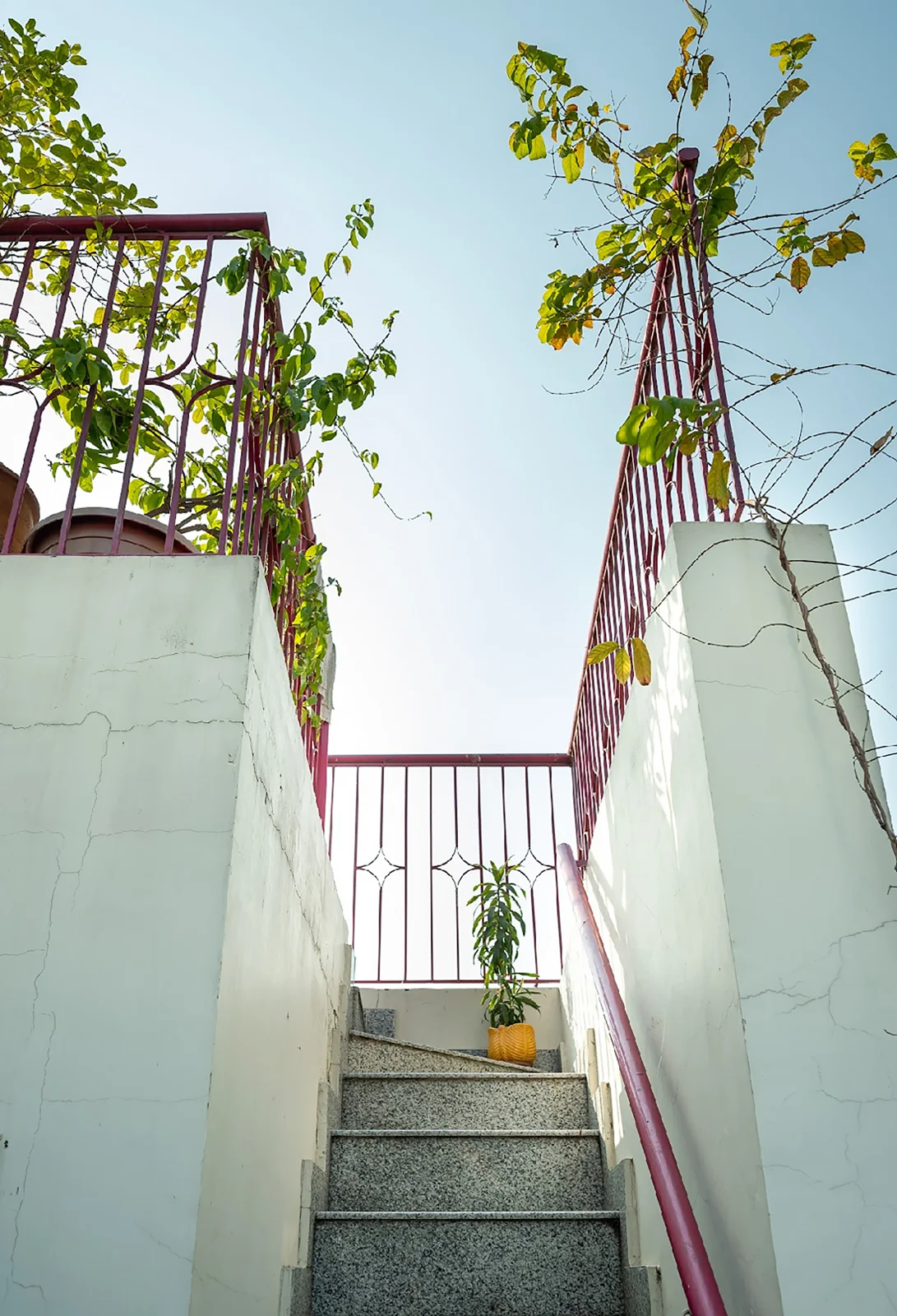 Terrace Stair